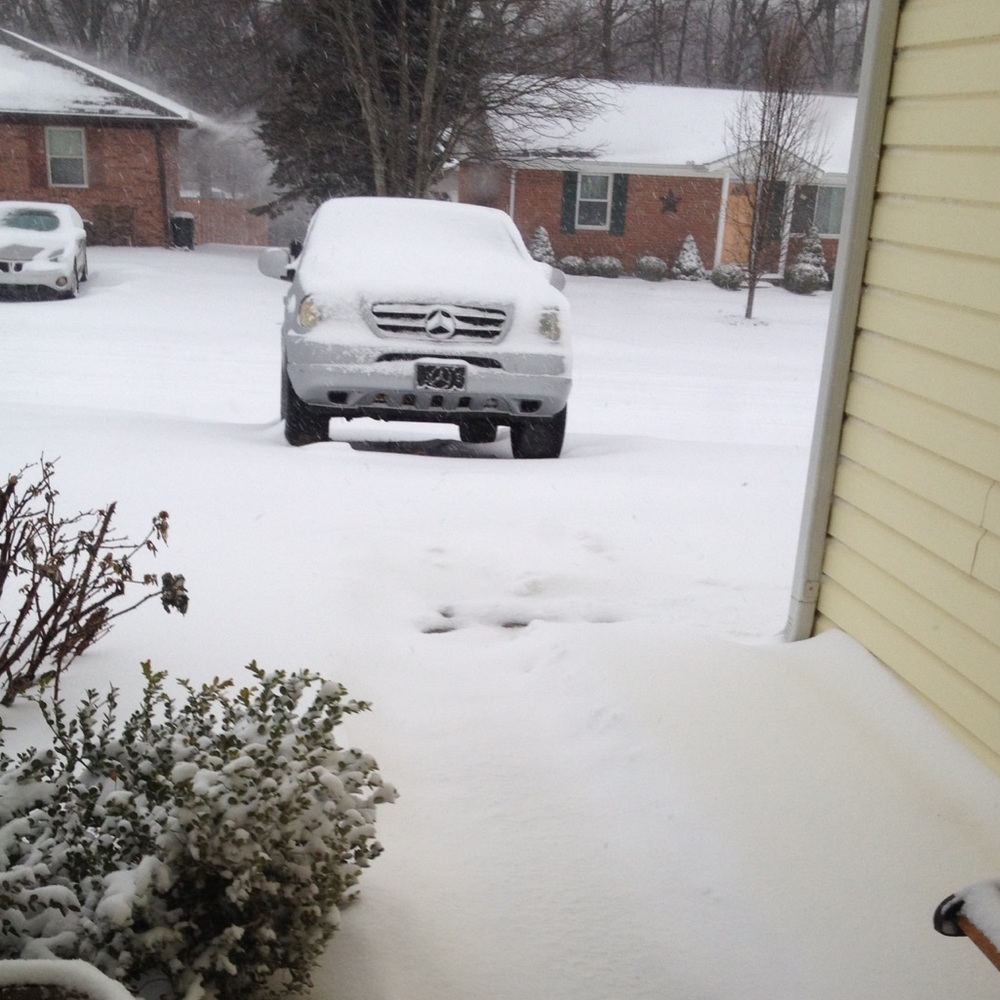 Icy, snowy day!